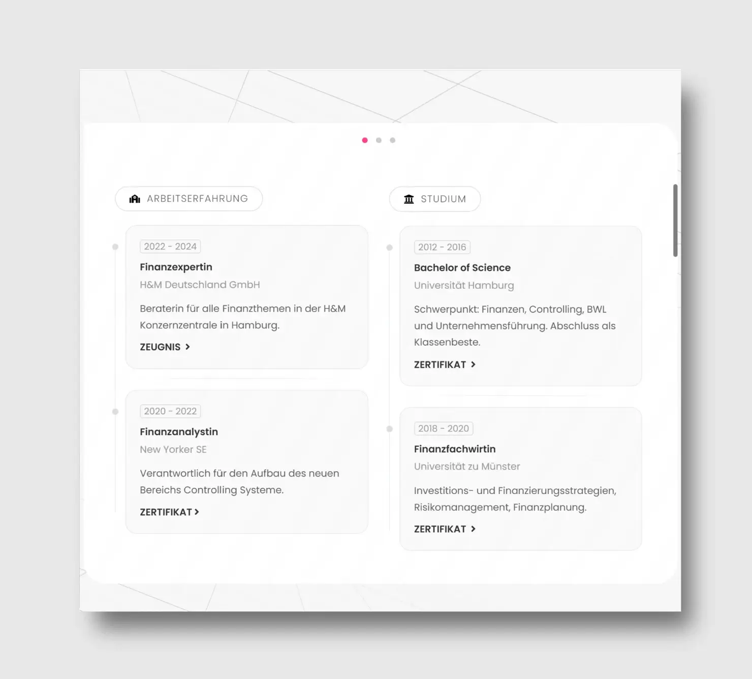 FinExpert Bewerbungs-Homepage CV Resume
